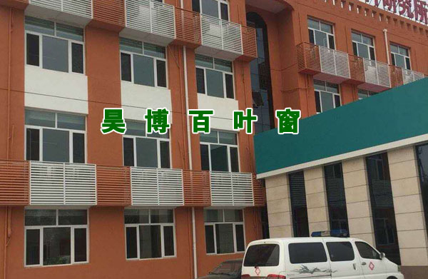 91巨炮在线观看百（bǎi）葉窗（chuāng）廠家空調罩安裝實例