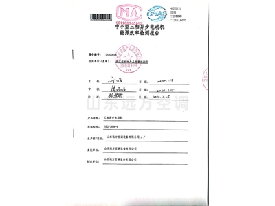 中小型三相異步電動（dòng）機能源效率（lǜ）檢測報告